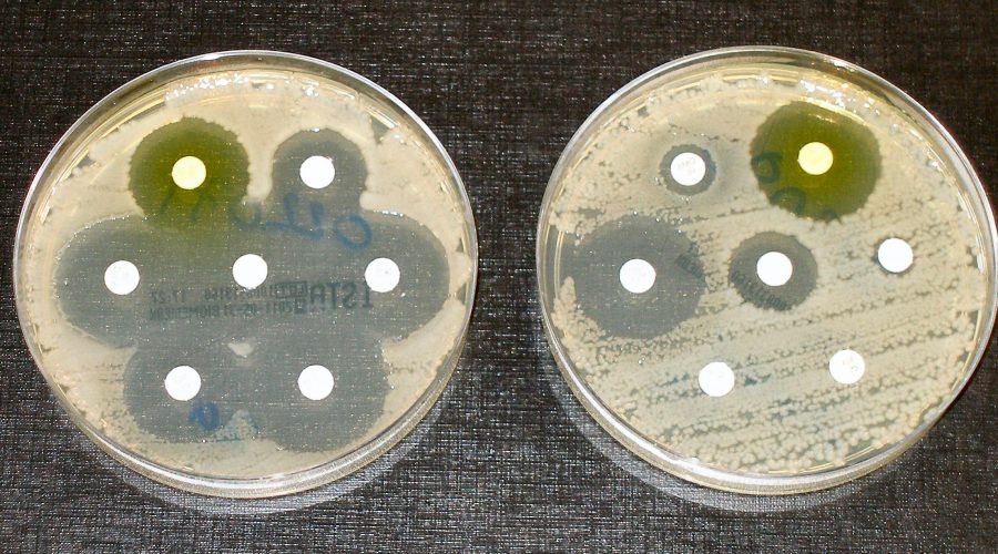 Multiresistant bacteria